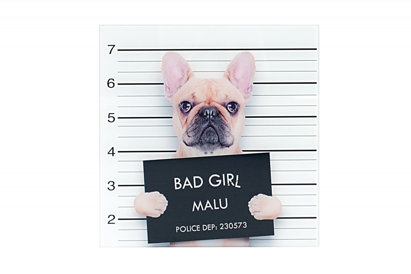 Obraz BAD DOG GIRL