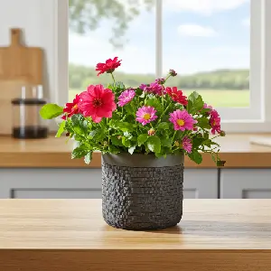 Kvetináč DAMICA CEMENT 12